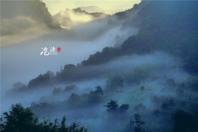 春雨直播app